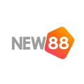 new88network's avatar