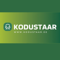 Kodustaar's avatar