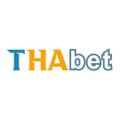 thabetgroupnet's avatar