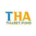 thabetfund's avatar