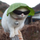 Urosp247's avatar