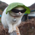 Urosp247's avatar