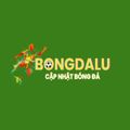 bongdalukiwi's avatar