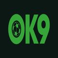 ok9house's avatar