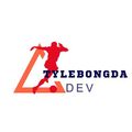 tylebongdadev's avatar