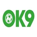 ok9best's avatar
