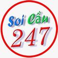 soicau247vn's avatar