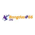 bongdaso66life's avatar
