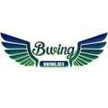 bwingdev's avatar