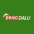 bongdalu5wiki's avatar