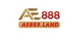 AE888LAND's avatar