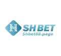 Shbet88page's avatar
