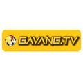 gavangtvfun's avatar