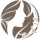 thaiannhien's avatar