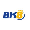 bk8vnone's avatar