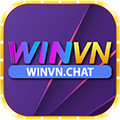 WinVN's avatar