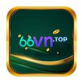 66vntop's avatar
