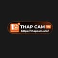 thapcamwin's avatar