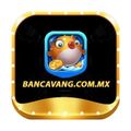 bancavangcommx's avatar