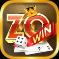 zowinexpress1's avatar