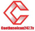 caothusoicautv's avatar