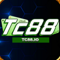 tc88io's avatar