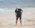 AlanQun's avatar