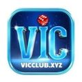 vicclubxyz's avatar