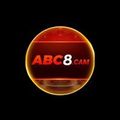abc8cam's avatar