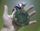 DavidEberhardt's avatar