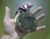 DavidEberhardt's avatar