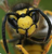 Pallui's avatar
