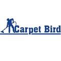 carpetbird17's avatar