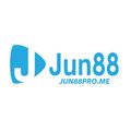 jun8810org's avatar