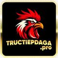 tructiepdagapro's avatar