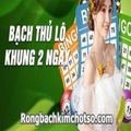 nuoibachthulokhung's avatar