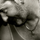 Kentrepid's avatar