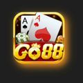 go88cgbdt's avatar