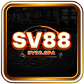 svnewspa's avatar