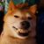 Kittin306's avatar