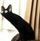 Peter_Strick's avatar