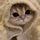 AshCdg's avatar