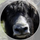 Iam3466's avatar